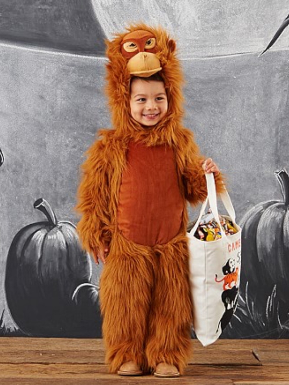 Pottery Barn Kids Toddler Orangutan Monkey Halloween Costume 3T